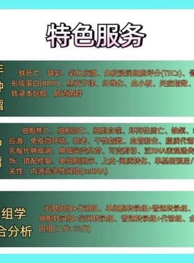基因家族分析生物信息学基础分析 性价比高