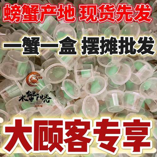 小螃蟹文具店商场摆摊网红迷你辣椒蟹桌面爬宠生态微景观易养