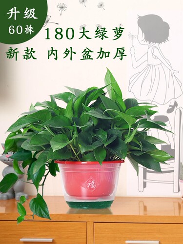 收藏+加购=优先发货！已有1.1W人种草啦！