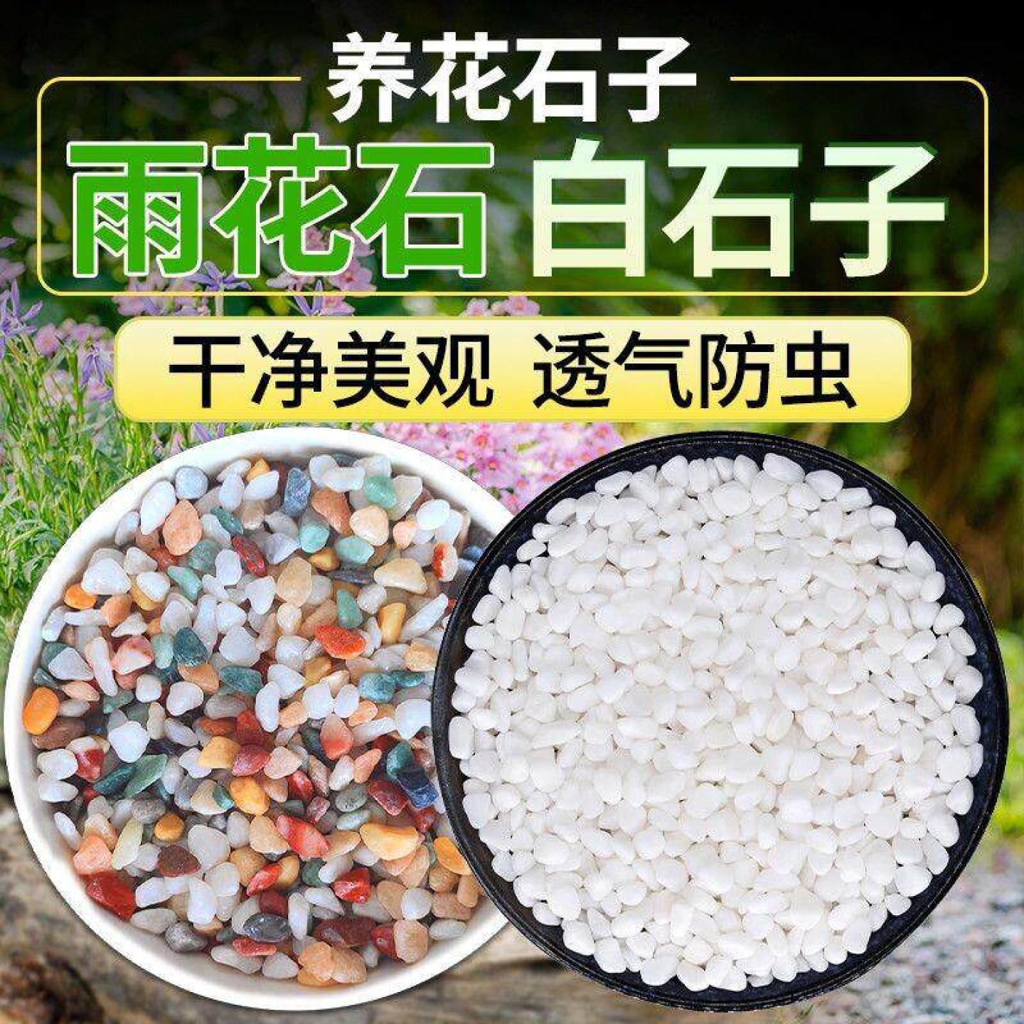 七彩石水培多肉铺面花盆垫底彩色石子白石天然养花园艺白鱼缸底砂