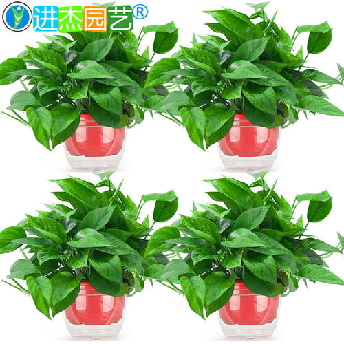 收藏+加购=优先发货！已有1.1W人种草啦！
