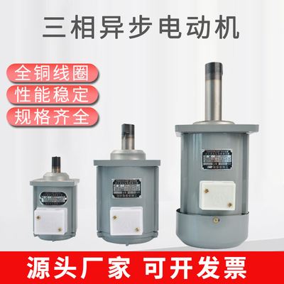 YDT250-2微型三相异步电动机