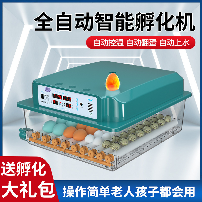 【直供】家用孵化器鸡鸭鹅鸽子蛋