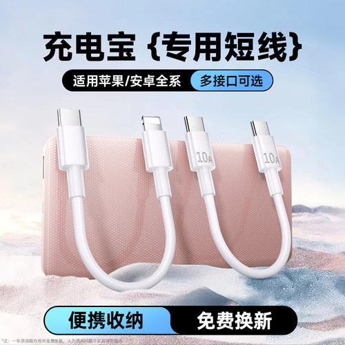 艾胜者10A超级闪充电宝短线双typec数据线0.25米便携适用华为vivo小米苹果15/16安卓OPPO超短手机充电线