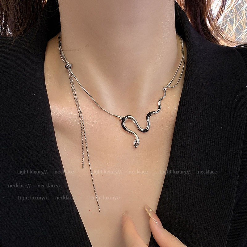 高级感个性夸张蛇形项链女ins潮酷时尚网红锁骨链小众设计毛衣链