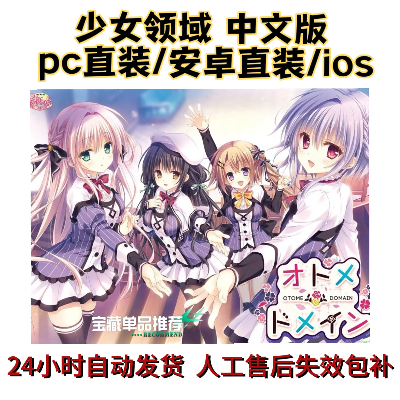安卓直装/pc直装 少女领域 中文版 手机电脑游戏 自动发货