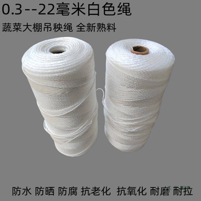 1--3毫米胶丝尼龙绳抗老化绳防晒渔网绳爬藤吊拉捆绑绳子聚乙烯绳