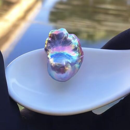 浮白珠宝 巴洛克珍珠养殖蚌直播活体现开diy珍珠裸珠开蚌