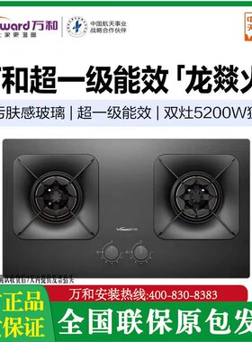 Vanward/万和 Q3L03Q/JZT-Y5L13 超一级能效自动熄火 5.2kW大火力