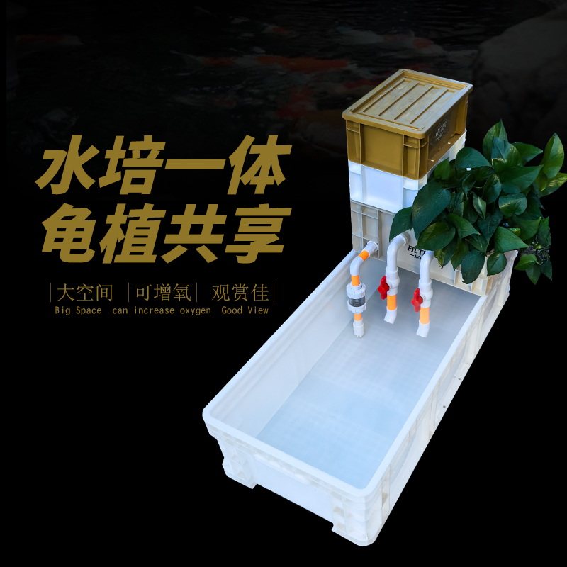 乌龟饲养缸周转箱养龟内置水泵过滤箱生态缸加厚鱼龟养殖箱家用