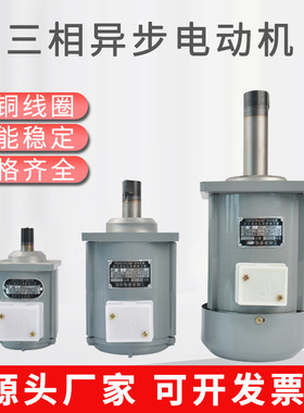 YDT250-2微型三相异步电动机ASF82A120W液压推动器用小型电机60W