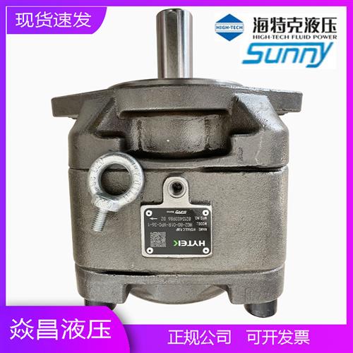 内啮合齿轮泵HG2-80/100/125/160-01R-VPC SUNNY伺服油泵