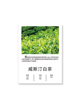 高级香薰片高级酒店闻香氛香卡片