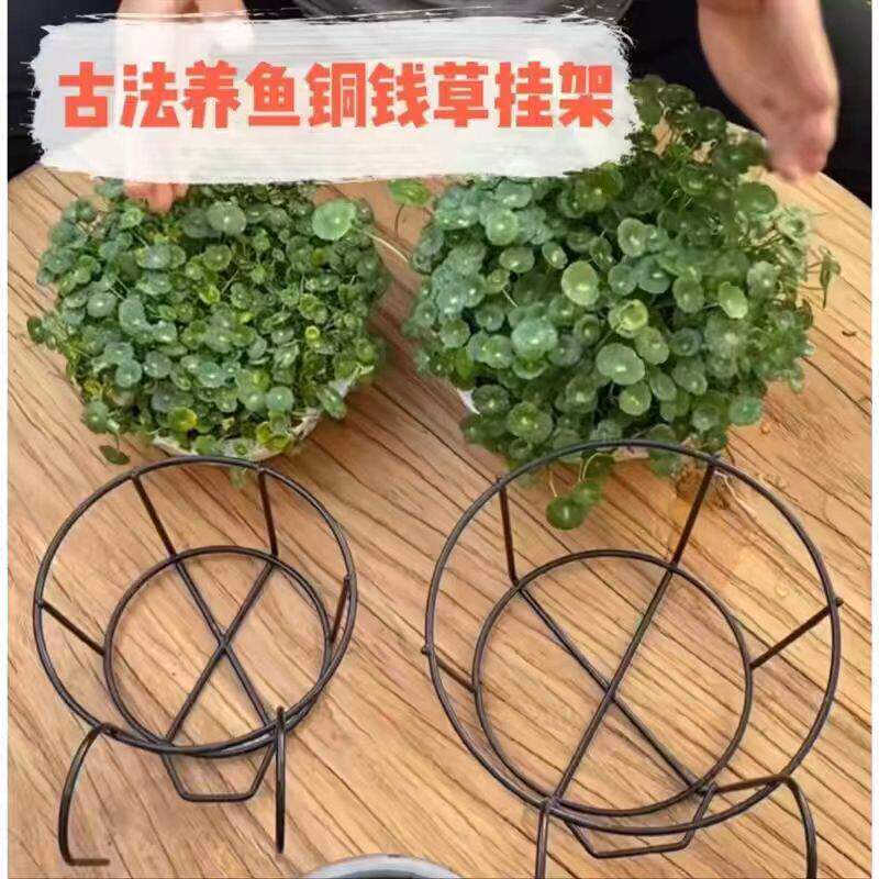 古法养鱼铜钱草鱼缸固定挂篮水培植物壁挂架圆形缸绿植造景配件