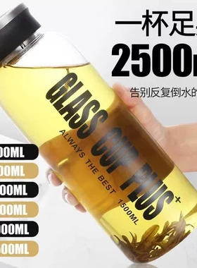 超大容量玻璃杯夏天水杯便携高硼硅防爆杯子男士水壶大号2000毫升