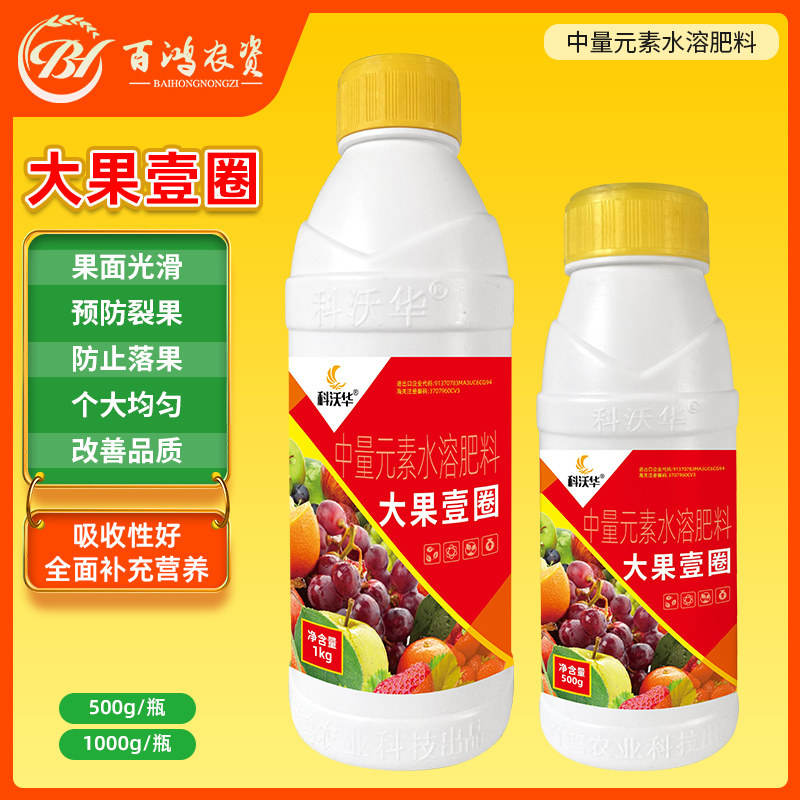 大果壹号细胞分裂提糖增甜着色