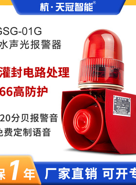 TGSG-01G室外防水声光报警器 港口码头 户外防尘防雨报警器IP66