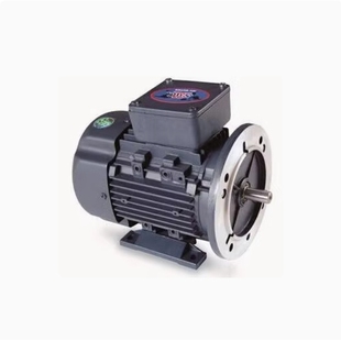 YSJ7144 SMC电机马达 YS7114 1HS 1HS电动机YSJ90LB4 YSJ8024