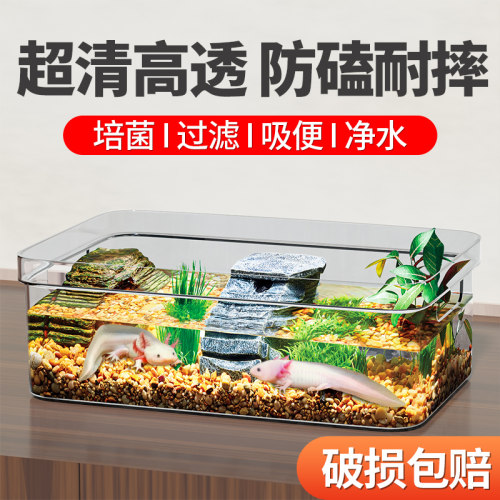 涂宠六角恐龙鱼缸手提乌龟缸