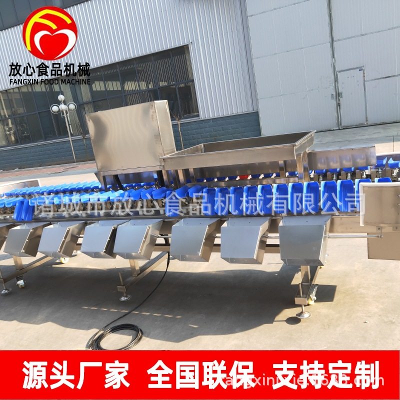 跨境供应海产品牡蛎重量分选机多级可选自动分别机自动称重分选机,清洗/食品/商业设备,选果机/分选机,淘宝优惠券,粉丝福利购,淘宝优惠卷
