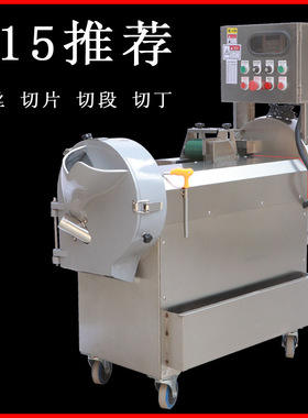 315推荐厂家销售801大型商用多功能切菜机切丝切片土豆韭菜切块机