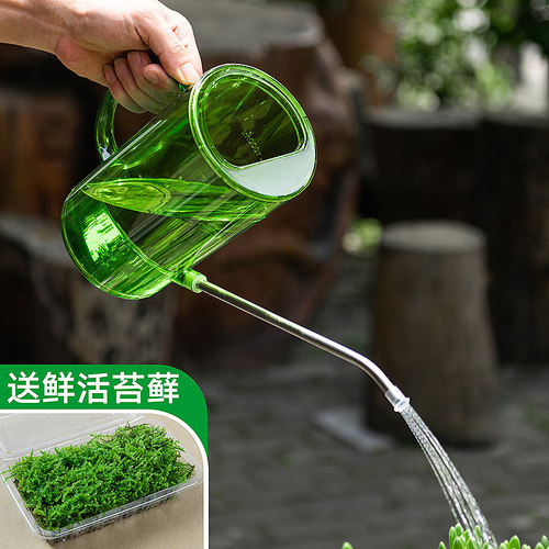 不锈钢园艺浇水壶买就送鲜活苔藓