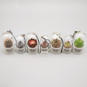 活植物随身多肉学生钥匙扣迷你盆栽挂件桌面微景观生态瓶创意礼品