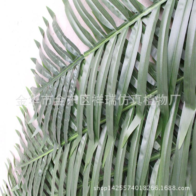 仿真2.7米椰子叶果树大树棕榈科热带椰子王植物工程装饰