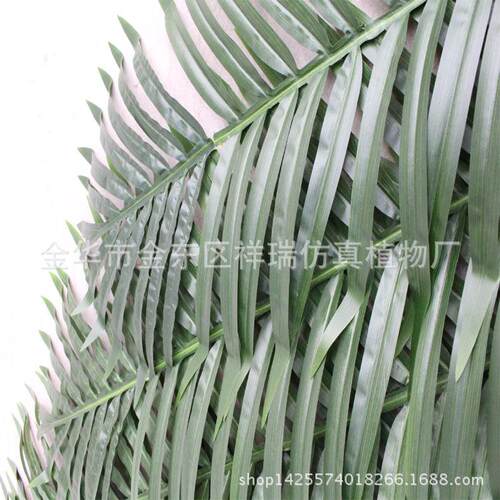 仿真2.7米椰子叶果树大树棕榈科热带椰子王植物工程装饰