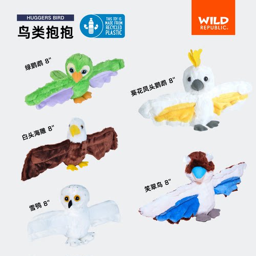 鸟类抱抱｜葵花鹦鹉雪鸮笑翠鸟白头海雕啪啪圈美国WildRepublic