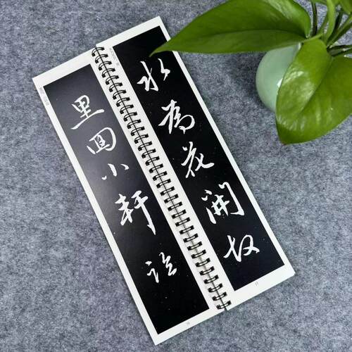 元赵孟梅花诗梅花十绝放大版行楷毛笔字帖原大墨迹近距离字帖卡