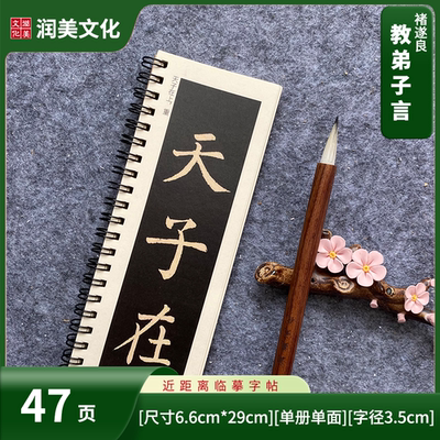 唐柳公权教弟子言毛笔书法临摹字帖教程近距离字帖单册