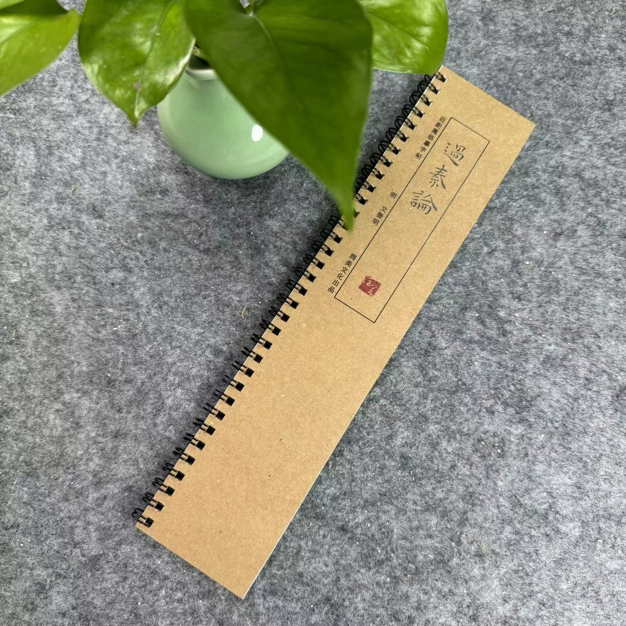 文征明小楷过秦论毛笔楷书字帖书法字帖 近距离对临字帖