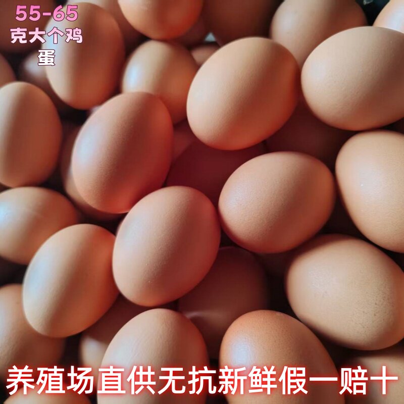 爱叶无药残大码40枚当天新鲜红皮优质洋鸡蛋60g无腥味大个60g鸡蛋