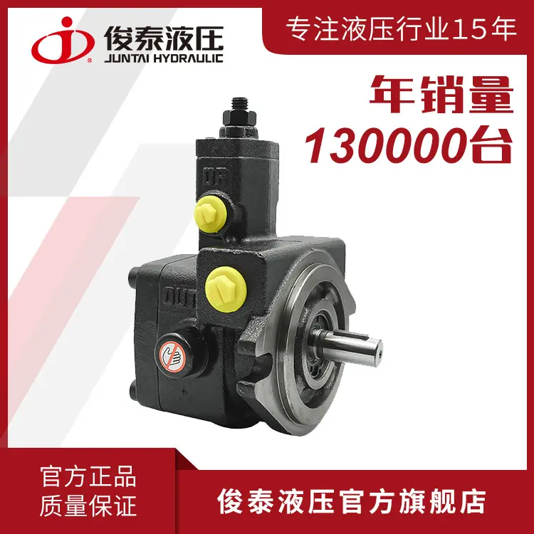 广东俊泰 低压液压系统油泵铸铁 VP20/08/12/15 变量叶片泵