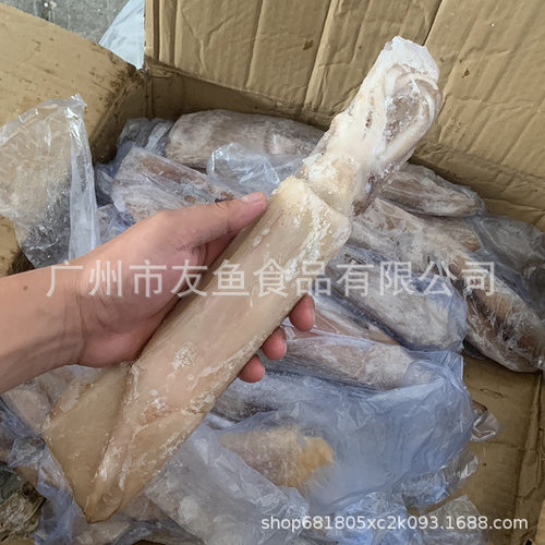 整条鱿鱼大鲜活速冻餐饮生鲜冷冻