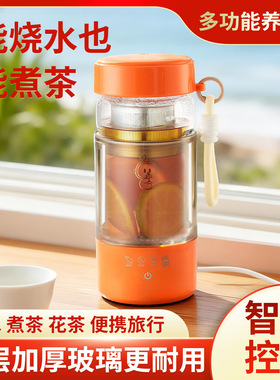 跨境智能便携式电热水杯恒温电热杯多功能小型玻璃烧水杯出差旅行