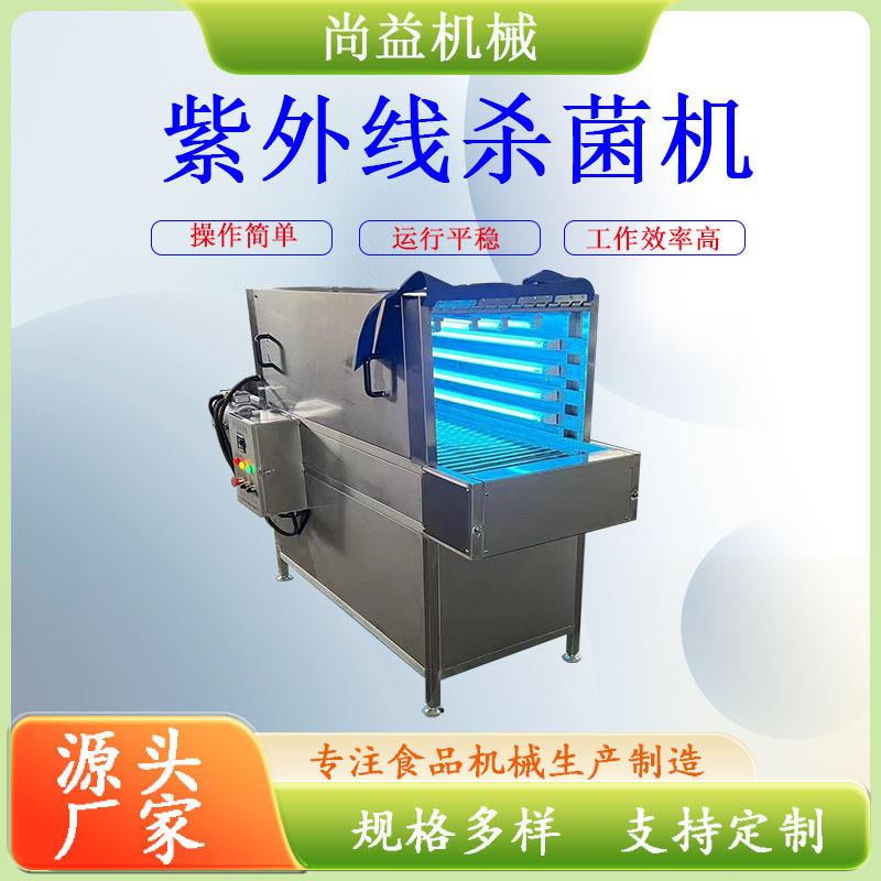 袋装奶条隧道式灭菌设备 牛奶片紫外线辐照杀菌机 奶酪低温灭菌机