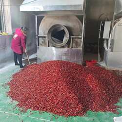 电加热炒辣椒机 柘城辣椒段炒制机 商用不锈钢辣椒滚筒炒货机