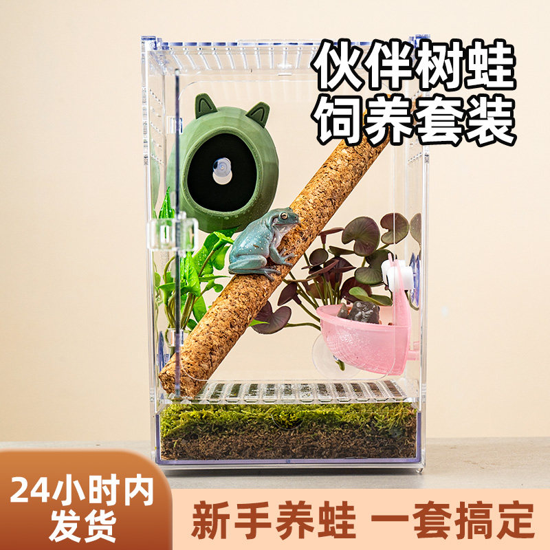 绿姥爷树蛙新手饲养箱套装懒人养树蛙全套树栖生态缸造景套餐防逃 - 实物图