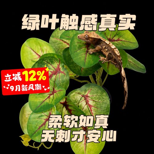 爬宠仿真热带雨林植物造景装饰