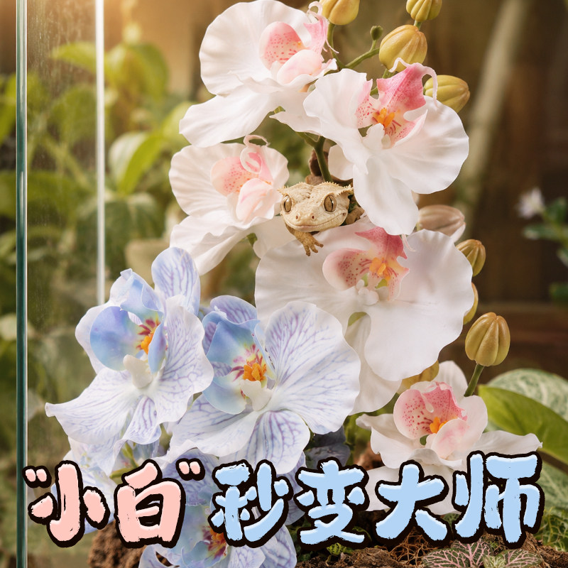宠维奥爬宠仿真花朵植物装饰图片