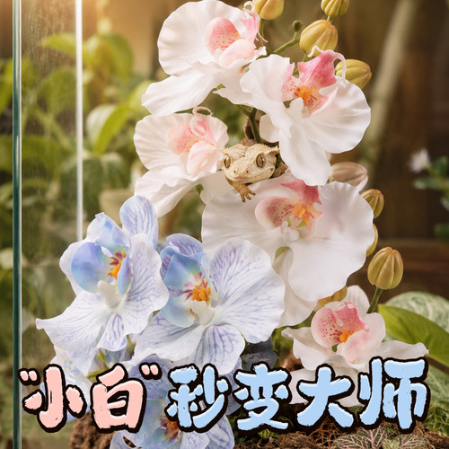 宠维奥爬宠仿真花朵植物装饰