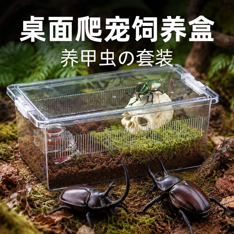 甲虫成虫饲养盒套装独角仙锹甲专业爬虫箱造景兜虫盒子幼虫产房