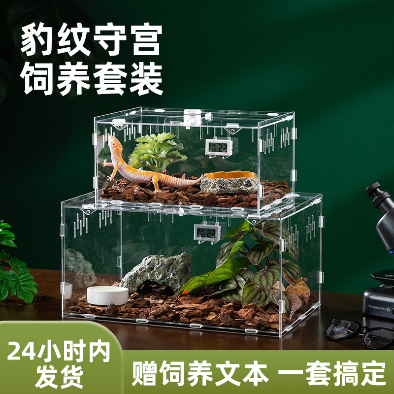豹纹守宫蜥蜴饲养盒套装爬宠造景箱亚克力大号蜘蛛昆虫生态盒套餐