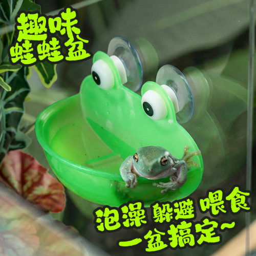 宠维奥树蛙躲避水盆爬箱造景泡澡