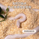 爬宠宠物蛇垫材白杨木屑家养蛇类饲养箱专用垫材柔软玉蛇木屑除臭