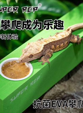 SuperRep爬宠攀爬棍巨人R属睫角守宫树蛙攀爬棒造景树栖爬虫用品