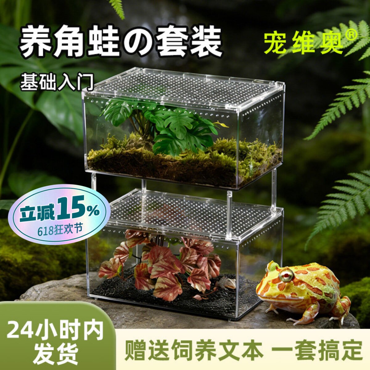 爬宠角蛙专用饲养盒非洲牛蛙套装蜘蛛守宫蜥蜴爬虫桌面观赏箱高透