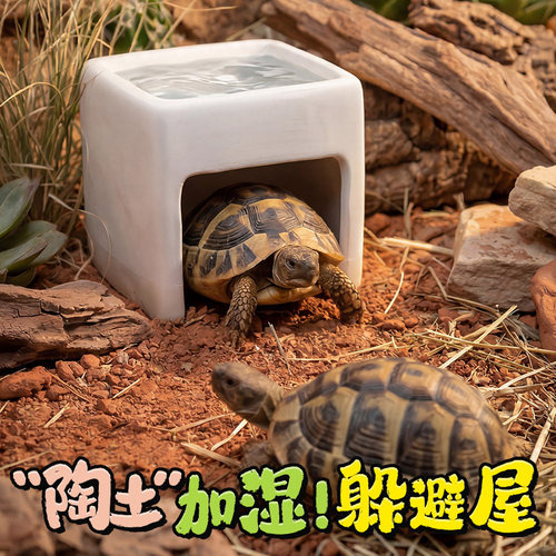 宠维奥爬虫加湿躲避陶瓷屋大号